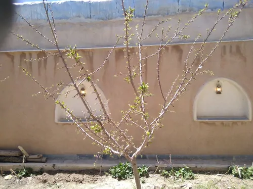 تصویر 11 - ویلا سنتی حکیم الهی در بویین میاندشت