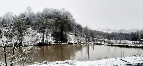 تصویر 10 - ویلا برکه در لاهیجان
