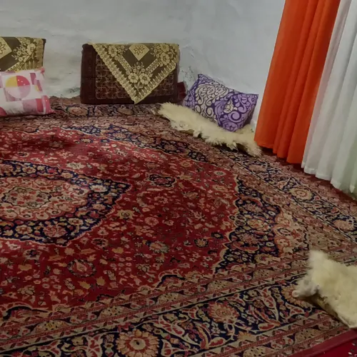تصویر 5 - روستایی و عشایری خانه روستایی در  فومن