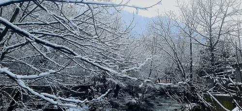 تصویر 37 - ویلا دلنواز کنار رودخانه در ماسال