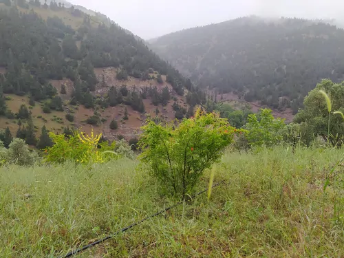تصویر 5 - سوییت رودخانه کوهستان (واحد 10) در  رستم آباد
