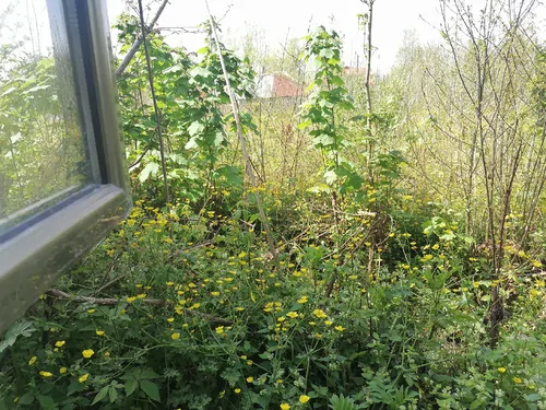 تصویر 4 - اقامتگاه بوم‌گردی خونه باغ کوچه مارپیچ (ایاز) در  سیاهکل