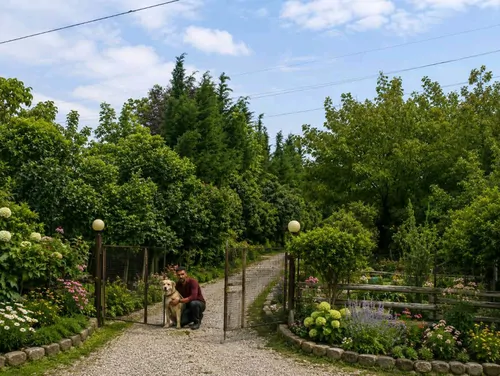 تصویر 19 - کلبه چوبی استخردار آبگرم سوگولی در  عباس آباد