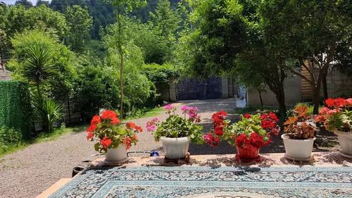 تصویر 13 - ویلا با دیزاین چوب عزیزی در  ماسال