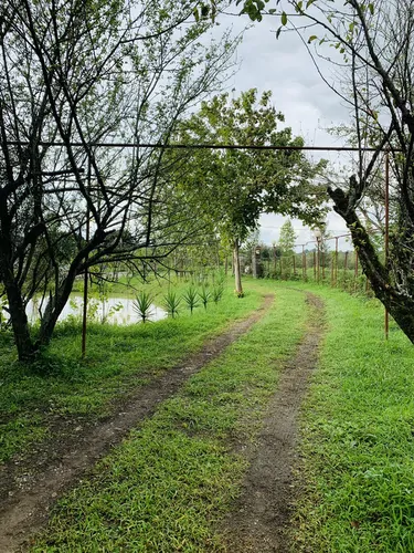 تصویر 17 - ویلا علیرضا  در  رشت