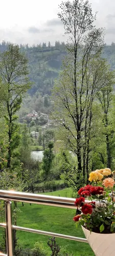 تصویر 11 - ویلا جنگلی آپادانا روستای استخرگاه در  رستم آباد