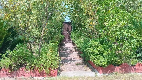 تصویر 12 - ویلا ساحلی گروسی در  چمخاله