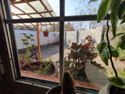 تصویر 9 - کلبه استخردار آبگرم تیتی در  لاهیجان