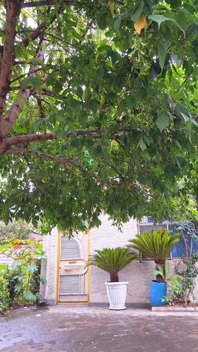 تصویر 17 - خانه افروز در  آستانه اشرفیه