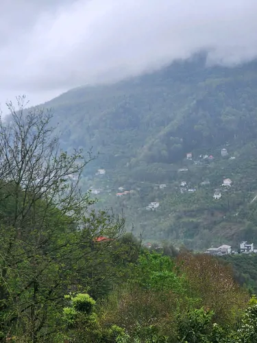 تصویر 17 - آپارتمان مهرآریا با جکوزی در رامسر
