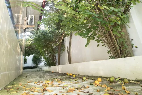 تصویر 20 - ویلا تریپلکس قو سفید در  رشت