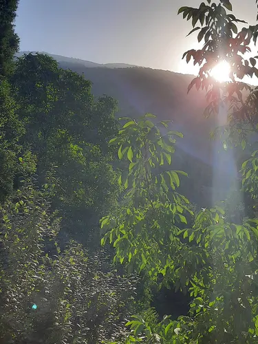 تصویر 54 - ویلا جنگلی آپادانا روستای استخرگاه در  رستم آباد