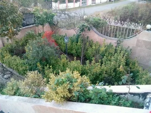 تصویر 2 - ویلا  استخردار 406 در متل قو