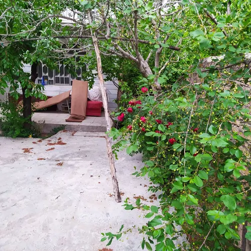 تصویر 3 - ویلا باغچه گنو در آبیک