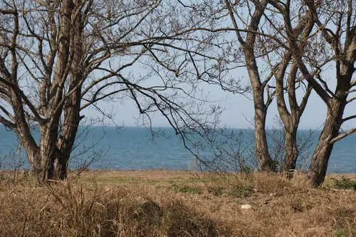 تصویر 11 - ویلا دوبلکس ساحلی قناری (3) در  ساری