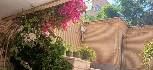 تصویر 19 - آپارتمان مبله فواد در  کاشان