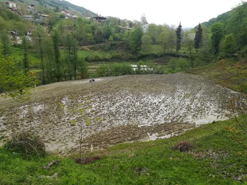 تصویر 4 - سوییت لیانی 1 در سوادکوه