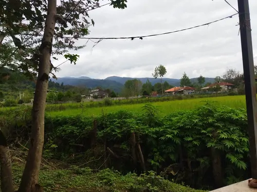 تصویر 8 - ویلا شهرام در ماسال