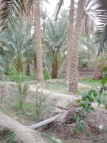 تصویر 17 - اقامتگاه بوم‌گردی نبکا(اتاق سدر) در  شهداد
