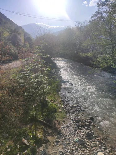 تصویر 15 - کلبه سوییسی ملو در ماسال