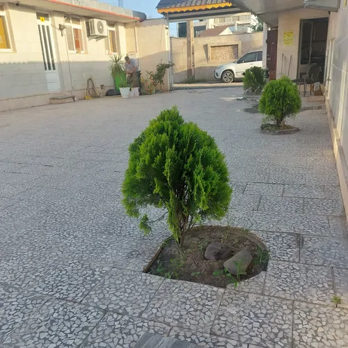 تصویر 8 - خانه کاسپین  در  انزلی
