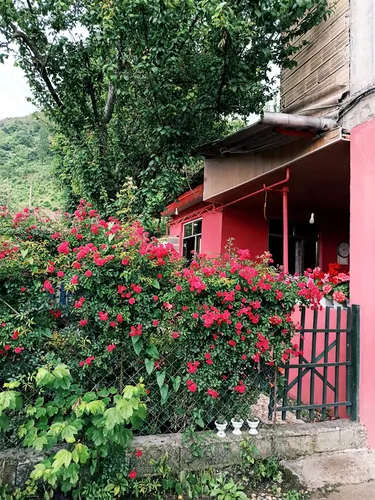 تصویر 2 - ویلا صورتی جنگلی در آستارا