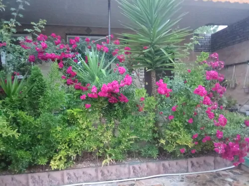 تصویر 16 - ویلا استخردار آبگرم ایلیا با فوتبال دستی در  انزلی