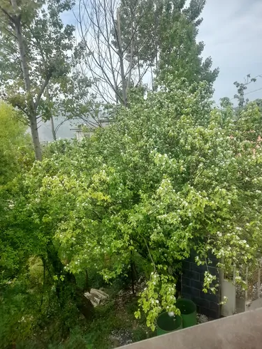 تصویر 15 - ویلا مانی در  رودبار