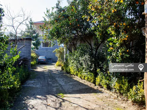 تصویر 35 - اقامتگاه بوم‌گردی ترنگ طلا در  چابکسر