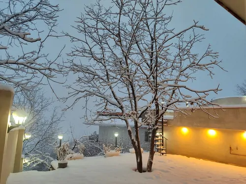 تصویر 15 - ویلا استخردار سرپوشیده آبگرم با ایرهاکی در  فشم