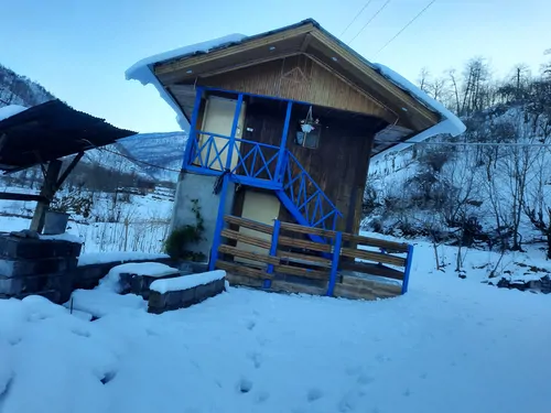 تصویر 20 - کلبه چوبی جنگلی آریالفور  در  شیرگاه