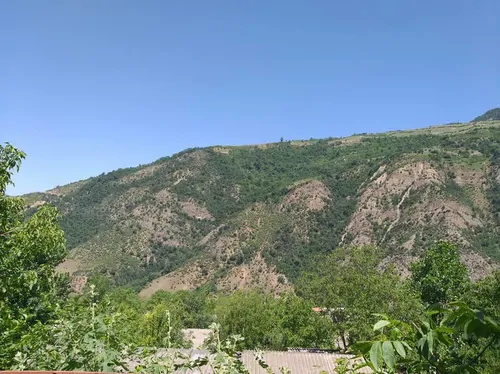 تصویر 3 - اقامتگاه بوم‌گردی سرخدار در علی آباد کتول
