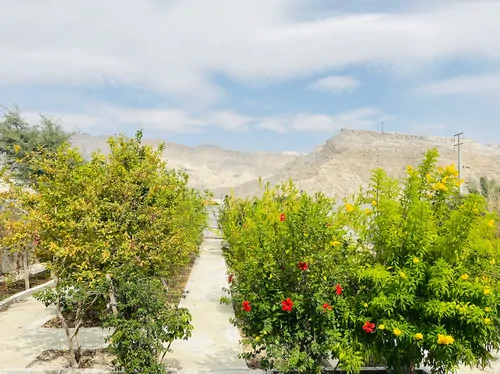 تصویر 6 - ویلا باغ پارسی در  پارسیان