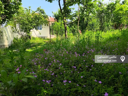 تصویر 14 - ویلا ویلایی شمس در ماسال