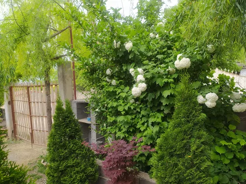 تصویر 19 - ویلا سنتی کیهان در  کلاردشت