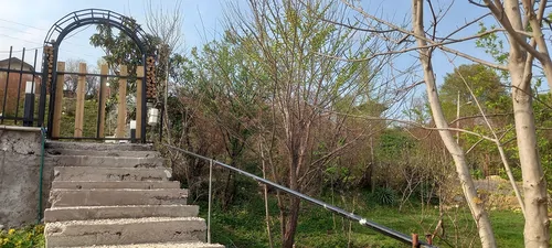 تصویر 16 - کلبه بهراد در  ماسال