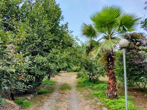 تصویر 3 - ویلا باغ ویلای صدف آستارا سیبلی در آستارا