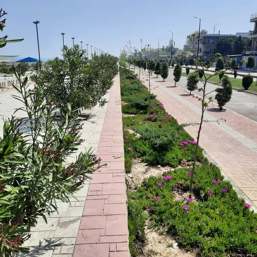 تصویر 3 - آپارتمان مبله پوریا  در  بابلسر