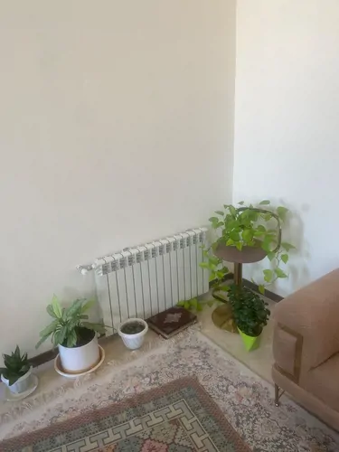 تصویر 3 - آپارتمان طبیعت در مشهد