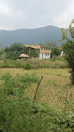 تصویر ۱ - ویلا چوبی لیپا  در  ماسال