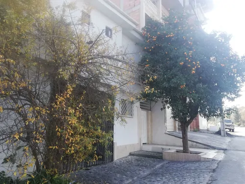 تصویر 3 - خانه حس آرامش در چالوس