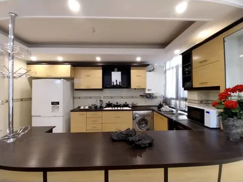 تصویر 3 - آپارتمان مبله روشا (واحد یلدا) در خیابان ویلا  در تهران