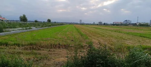 تصویر 10 - ویلا محمدی در نور