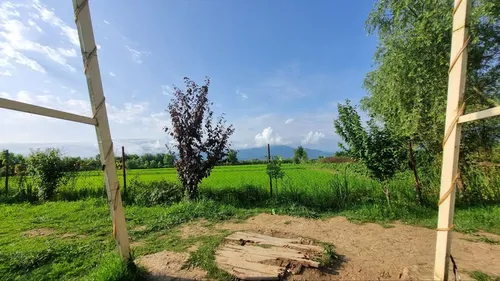 تصویر 14 - اقامتگاه بوم‌گردی سوئیسی درفک (باغ ریحان) در  لاهیجان