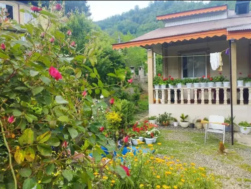 تصویر 13 - ویلا جنگلی موسوی  در  ماسال