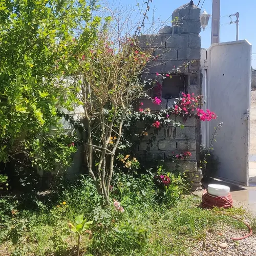 تصویر 2 - خانه ۱۰۰۱ در بوشهر