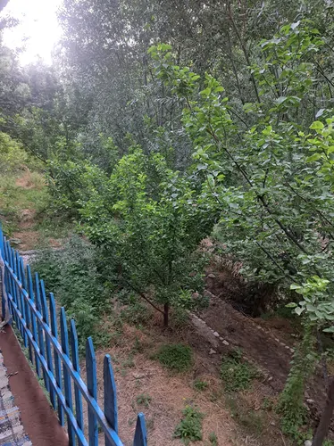 تصویر 3 - ویلا اقامتگاه جنگلی_کوهستانی خان بابا در شیروان