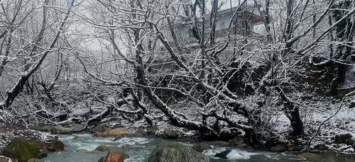 تصویر 36 - ویلا دلنواز کنار رودخانه در ماسال