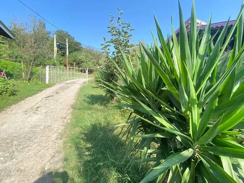 تصویر 15 - ویلا گلسا در  سراوان