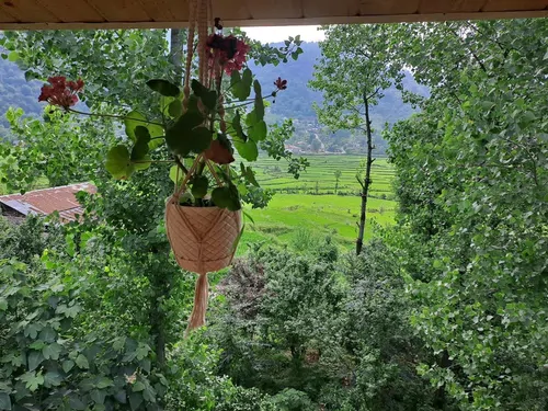تصویر 18 - کلبه پارادایس با جکوزی در ماسال
